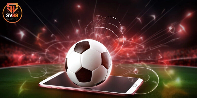 Lợi ích đặc biệt của bảo hiểm cá cược