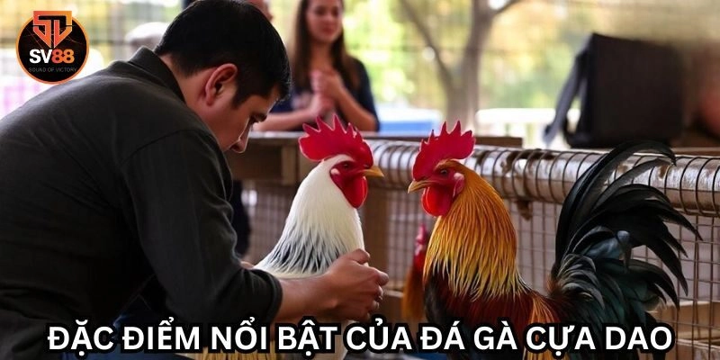 Những hình thức đá gà phổ biến nhất năm 2024