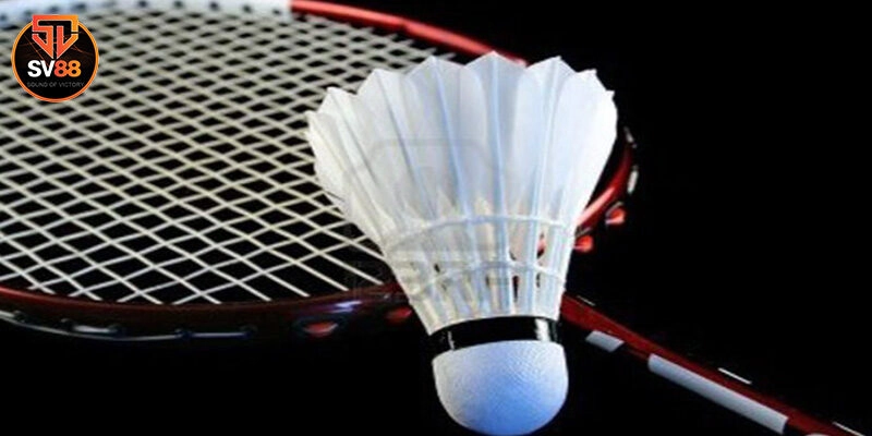 Cá Cược Cầu Lông – Hình Thức Săn Thưởng Cực Khủng Tại Sv88
