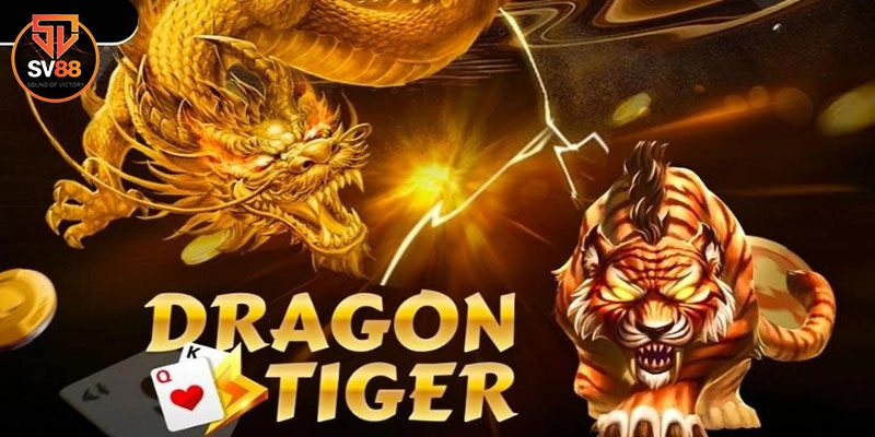 Cẩm nang chơi rồng hổ hiệu quả dành riêng cho người mới