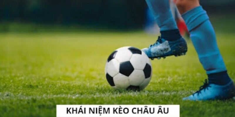 Bắt kèo 1x2 nhanh chóng với hướng dẫn chi tiết