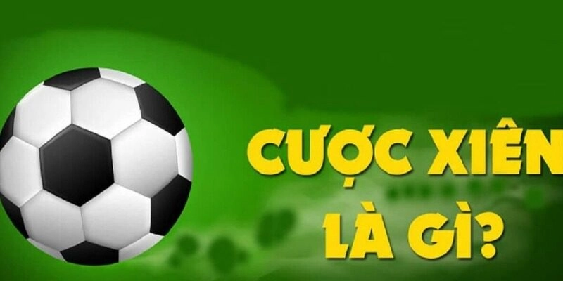 Bí quyết thắng lớn kèo xiên từ cao thủ