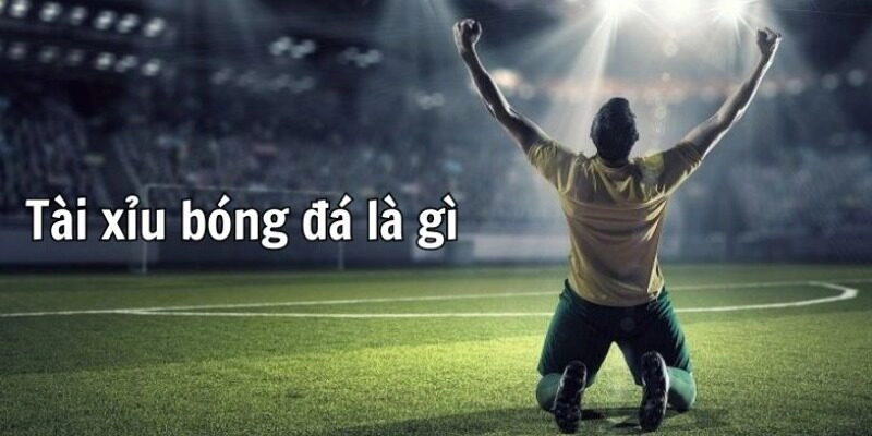 Cách chơi kèo Over/Under siêu dễ hiểu cho hội viên