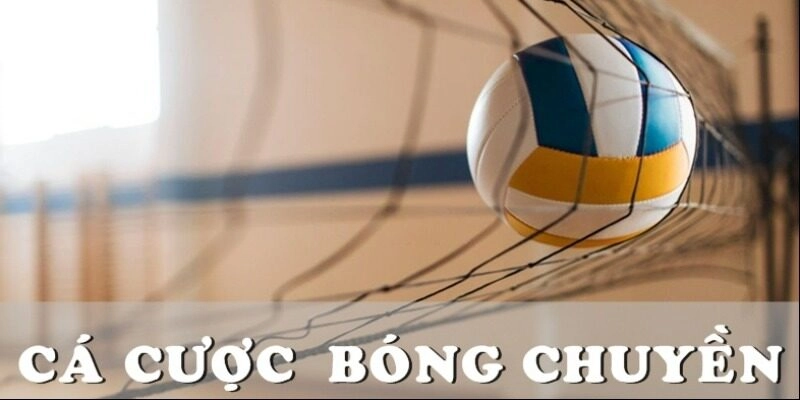 Đa dạng kèo bóng chuyền hấp dẫn tại nhà cái