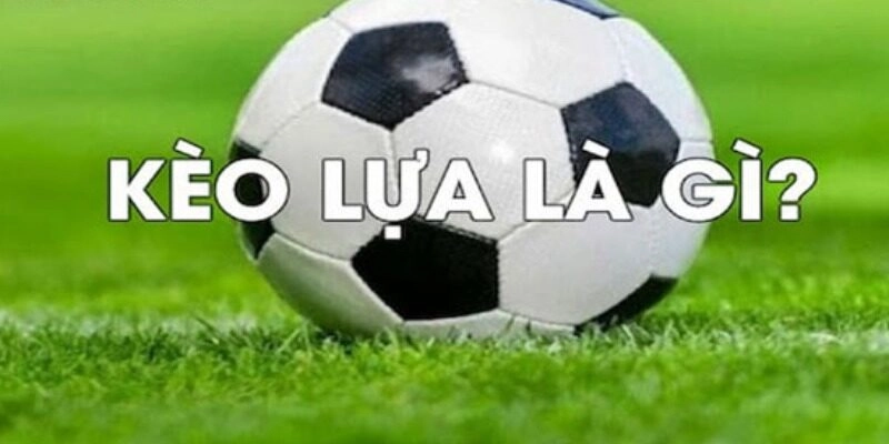 Lưu ý quan trọng để óc trải nghiệm trọn vẹn hơn