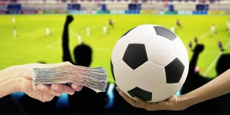 Mẹo trở thành nhà thầu bóng đá chuyên nghiệp