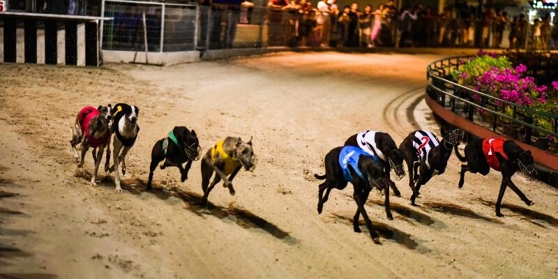 Trải nghiệm trọn vẹn với lưu ý từ nhà cái