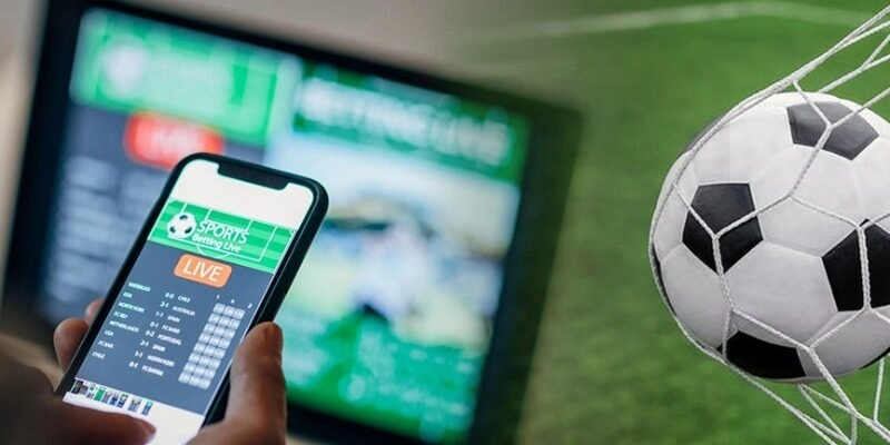 Trở thành cò chuyên nghiệp với chia sẻ chi tiết