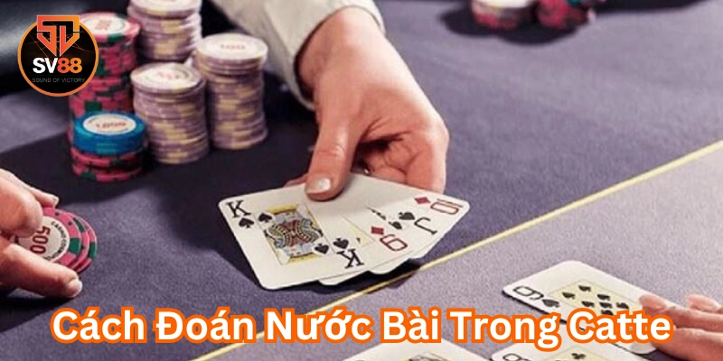 Cách Đoán Nước Bài Trong Catte cần lưu ý gì?