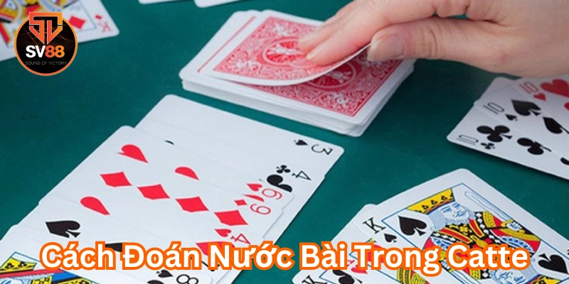 Cách Đoán Nước Bài Trong Catte là gì?