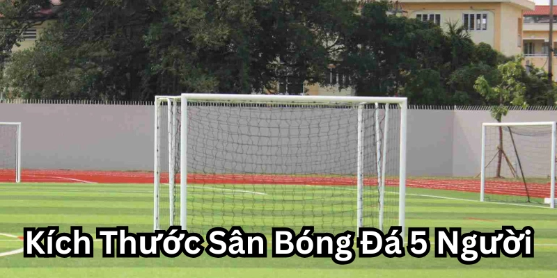 Kích Thước Sân Bóng Đá 5 Người có gì đặc biệt