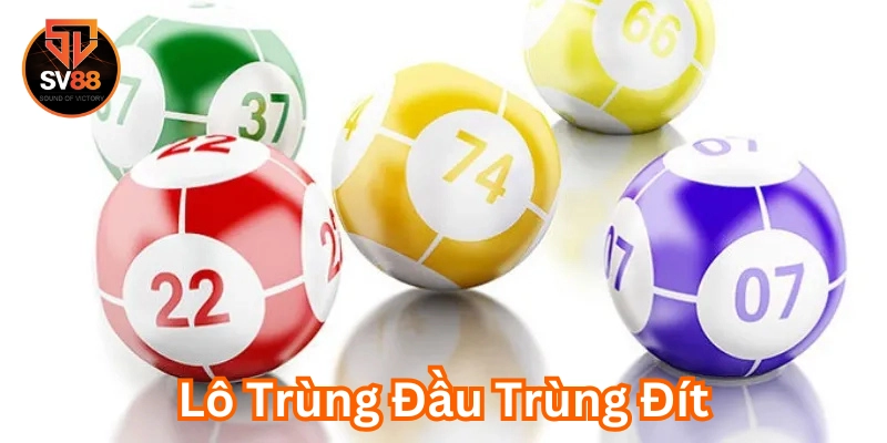 Lô Trùng Đầu Trùng Đít là gì?