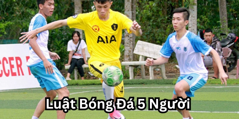 Luật Bóng Đá 5 Người là gì? 
