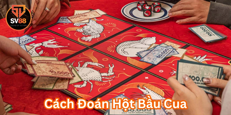 Cách Đoán Hột Bầu Cua có gì quan trọng