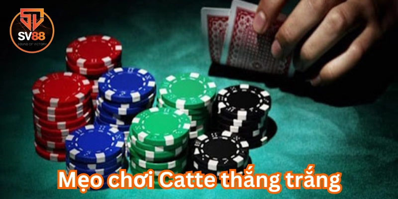 Lưu ý trong Mẹo Chơi Catte Thắng Trắng