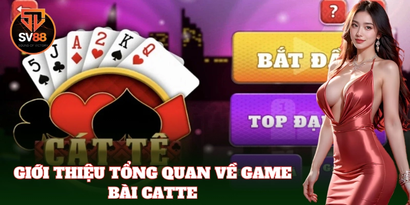 Catte mang đến trải nghiệm bài trí tuệ lôi cuốn