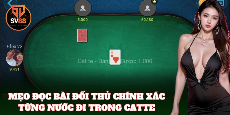 Mẹo chơi Catte giúp người mới dễ dàng thắng lợi