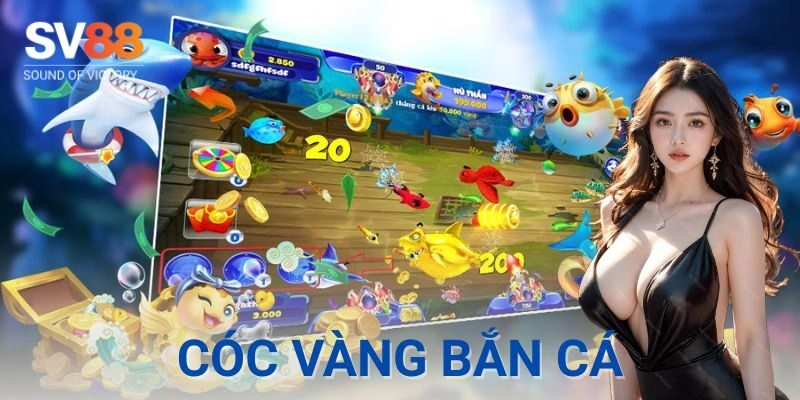 Cóc vàng bắn cá có đáng chơi không?