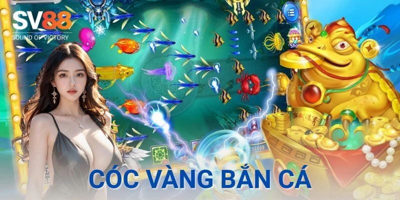Cóc vàng bắn cá có gì khác biệt?