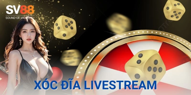 Mẹo soi cầu, quan sát và đặt vốn khi chơi xóc đĩa livestream