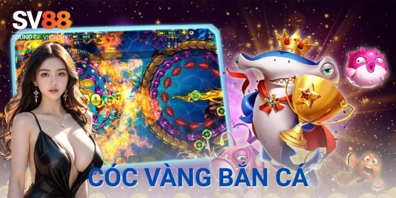 Ví dụ thực tế cách chơi cóc vàng bắn cá hiệu quả